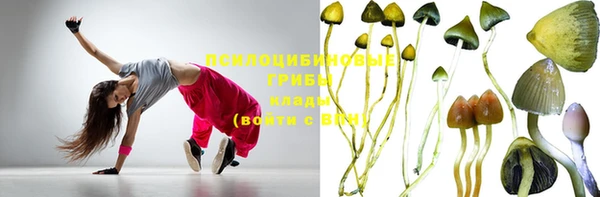 метадон Козловка