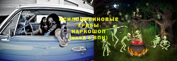 PSILOCYBIN Киреевск